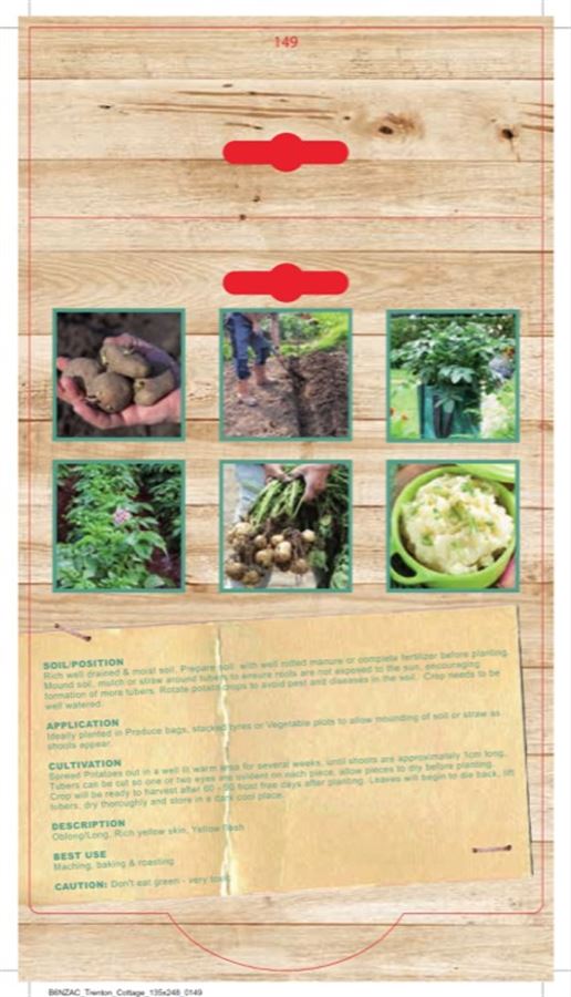 Picture of CERTIFIED SEED POTATO - DUTCH CREAM