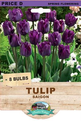 Picture of TULIP - SAIGON