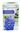 Picture of HYACINTH VASE KITS - BLUE 