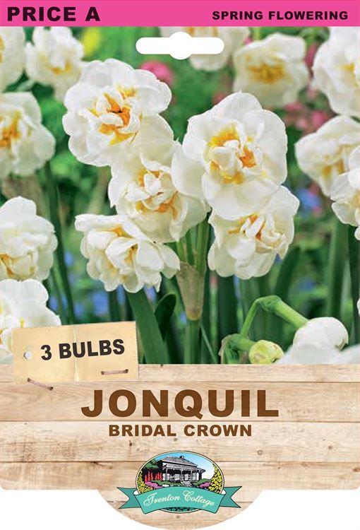 Picture of JONQUIL - BRIDAL CROWN 