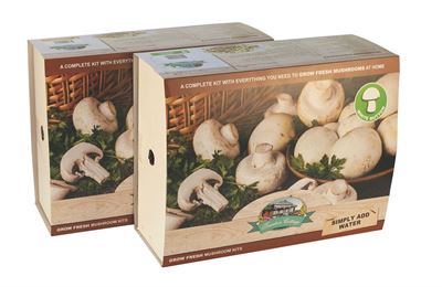 Picture of WHITE BUTTON MUSHROOM KITS