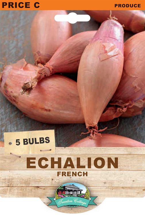 Picture of ECHALION - FRENCH 