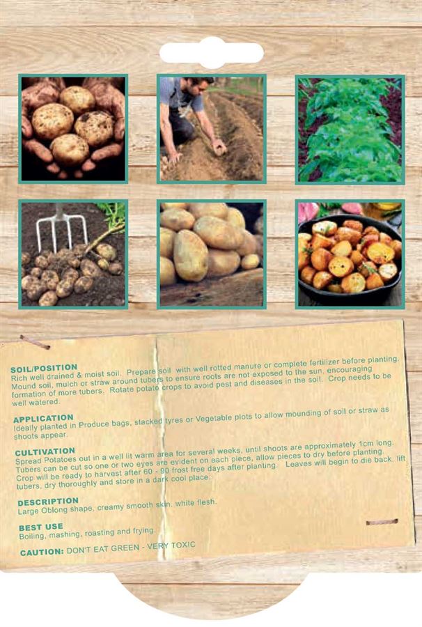 Picture of CERTIFIED SEED POTATO - WHITE STAR 