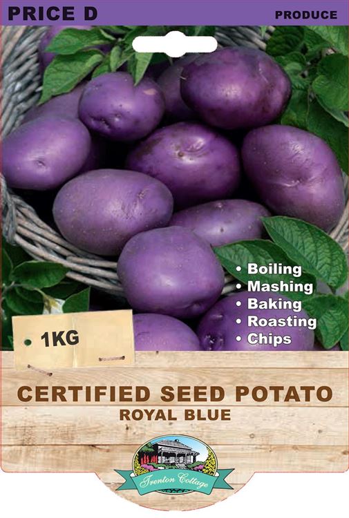 Picture of CERTIFIED SEED POTATO - ROYAL BLUE