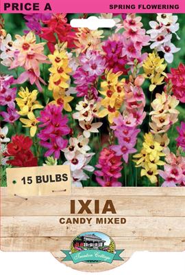 Picture of IXIA - CANDY MIXED