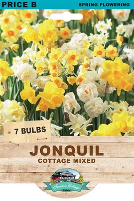 Picture of JONQUIL - COTTAGE MIXED