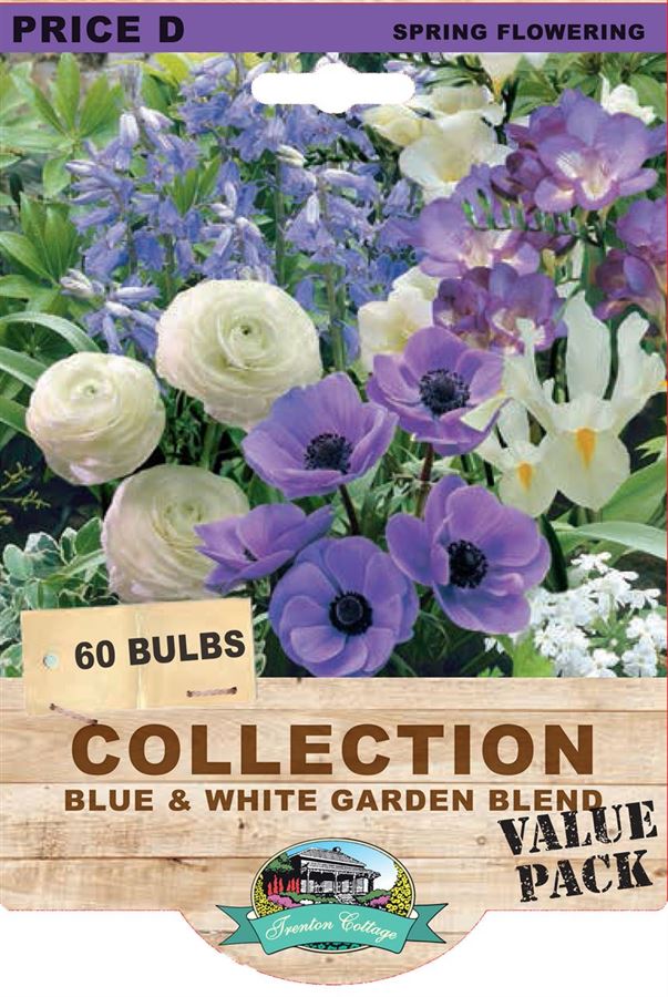 Picture of COLLECTION - BLUE & WHITE GARDEN BLEND