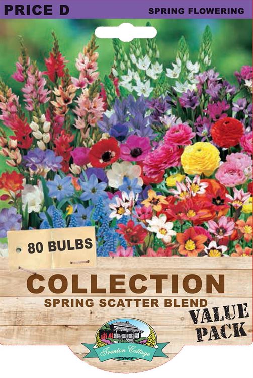 Picture of COLLECTION - SPRING SCATTER BLEND