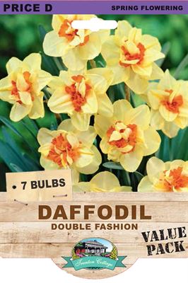 Picture of DAFFODIL - DOUBLE FASHION