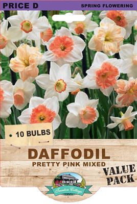 Picture of DAFFODIL - PRETTY PINK MIXED