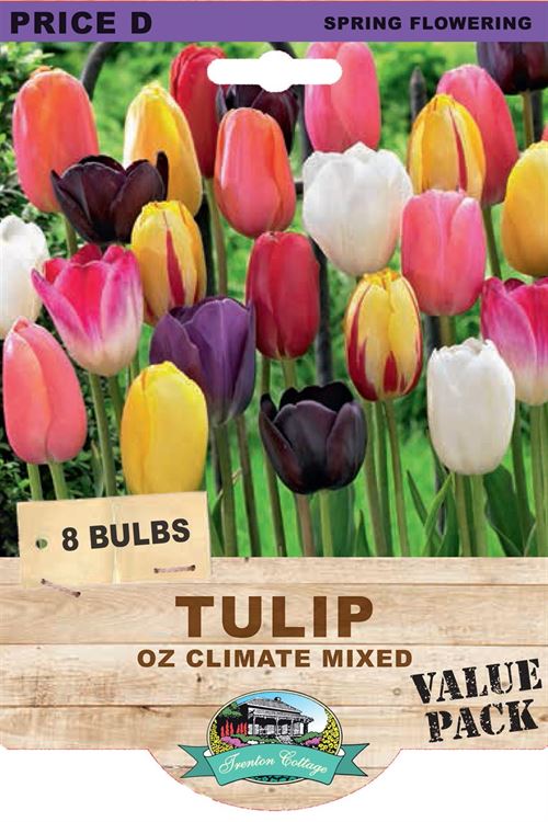 Picture of TULIP - OZ CLIMATE MIXED