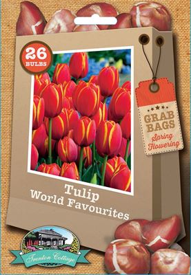 Picture of TULIP - WORLD FAVOURITES