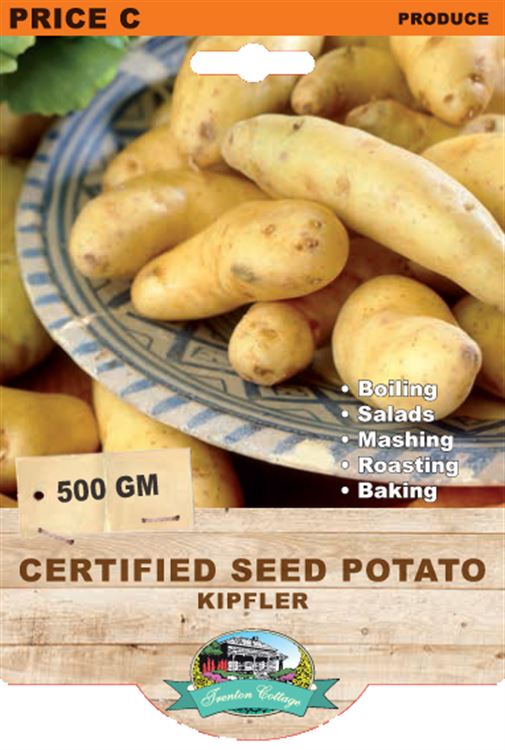 Picture of CERTIFIED SEED POTATO - KIPFLER