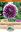 Picture of DAHLIA DECORATIVE - EDINBURGH