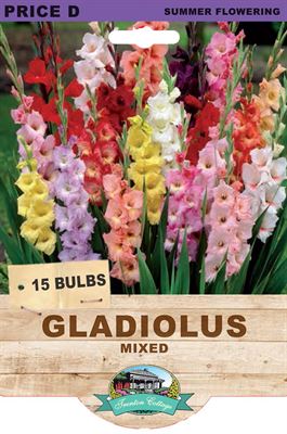 Picture of GLADIOLUS - MIXED 