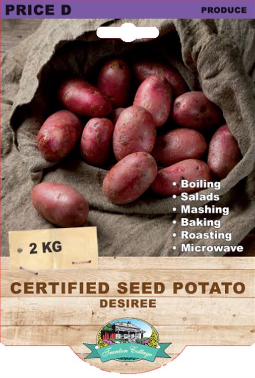 Picture of CERTIFIED SEED POTATO - DESIREE