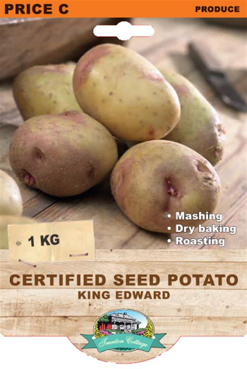 Picture of CERTIFIED SEED POTATO - KING EDWARD
