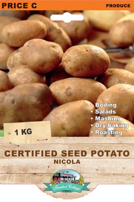 Picture of CERTIFIED SEED POTATO - NICOLA