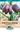 Picture of FRITILLARIA - SNAKESHEAD LILY